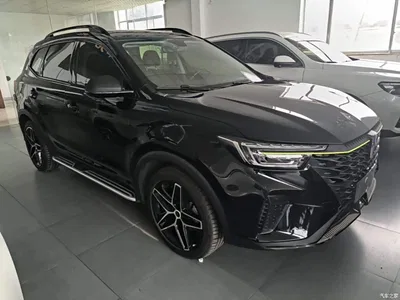 2021 Roewe RX5 New Energy Model ePLUS National Trend Ronglin Luxury Edition, фото 4, лот 10341504
