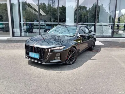 2023 Hongqi H5 2.0T Auto Smart Connect Flag Comfort, фото 1, лот 10288571