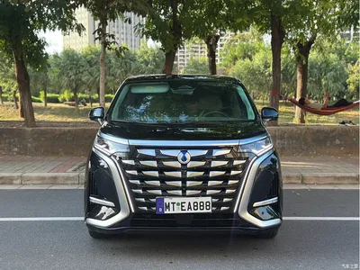 2022 Denza D9 DM-i 970 AWD Flagship, фото 2, лот 10355324