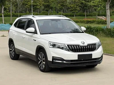2021 Škoda Kamiq 1.5L Auto Comfort Edition, фото 3, лот 10348992