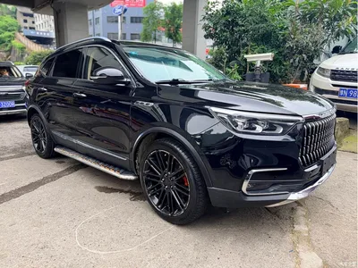2018 Leopaard Mattu 1.6T GDI DCT Premium Edition, фото 3, лот 11646020