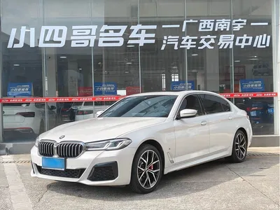 2021 BMW 5 Series 530Li Premium M Sport Package, фото 1, лот 10768750