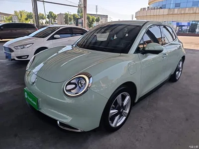 2023 Ora Good Cat 401km Standard Range Premium LFP, фото 2, лот 10330583