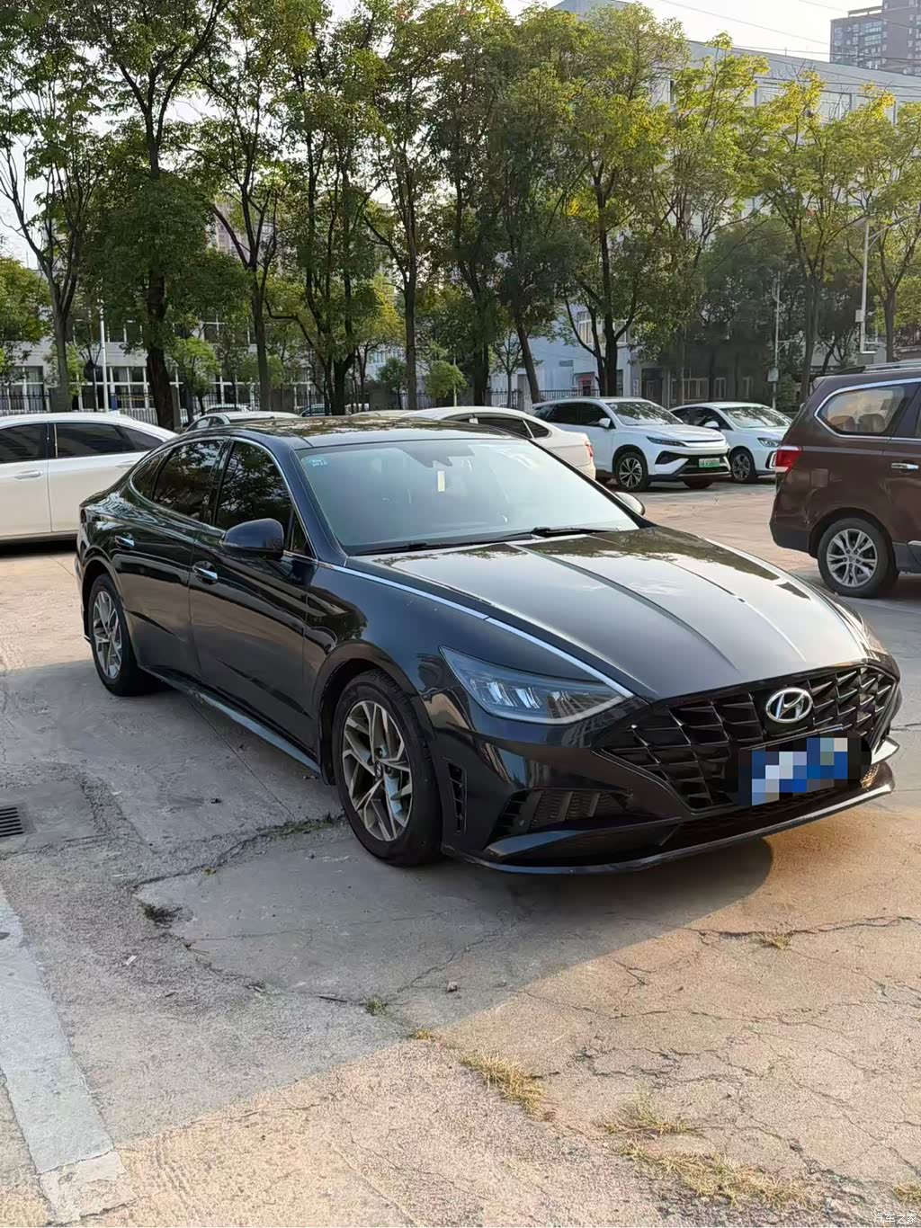 2020 Hyundai Sonata 270TGDi DCT GLS Elite Edition, фото 4, лот 11177830