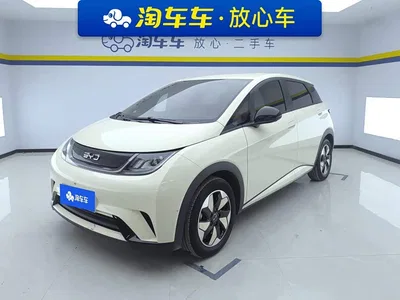 2025 BYD Dolphin 420km Freedom Edition, фото 1, лот 10434012