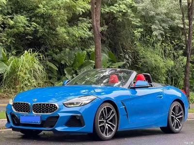 2020 BMW Z4 sDrive 25i Silver Frost Limited Edition, фото 3, лот 10477717