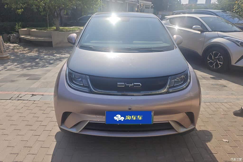 2021 BYD Dolphin Model 405km Fashion Edition, фото 2, лот 11227294