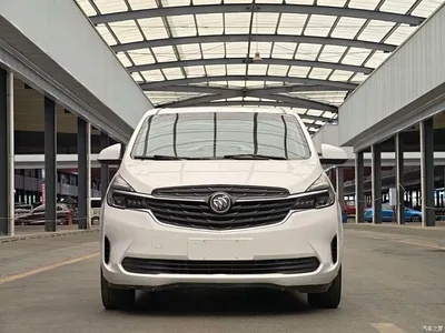 2021 Buick GL8 Land Business Class 652T Luxury, фото 2, лот 10256541