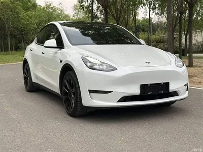 2021 Tesla Model Y Model Long Range AWD, фото 4, лот 10374251