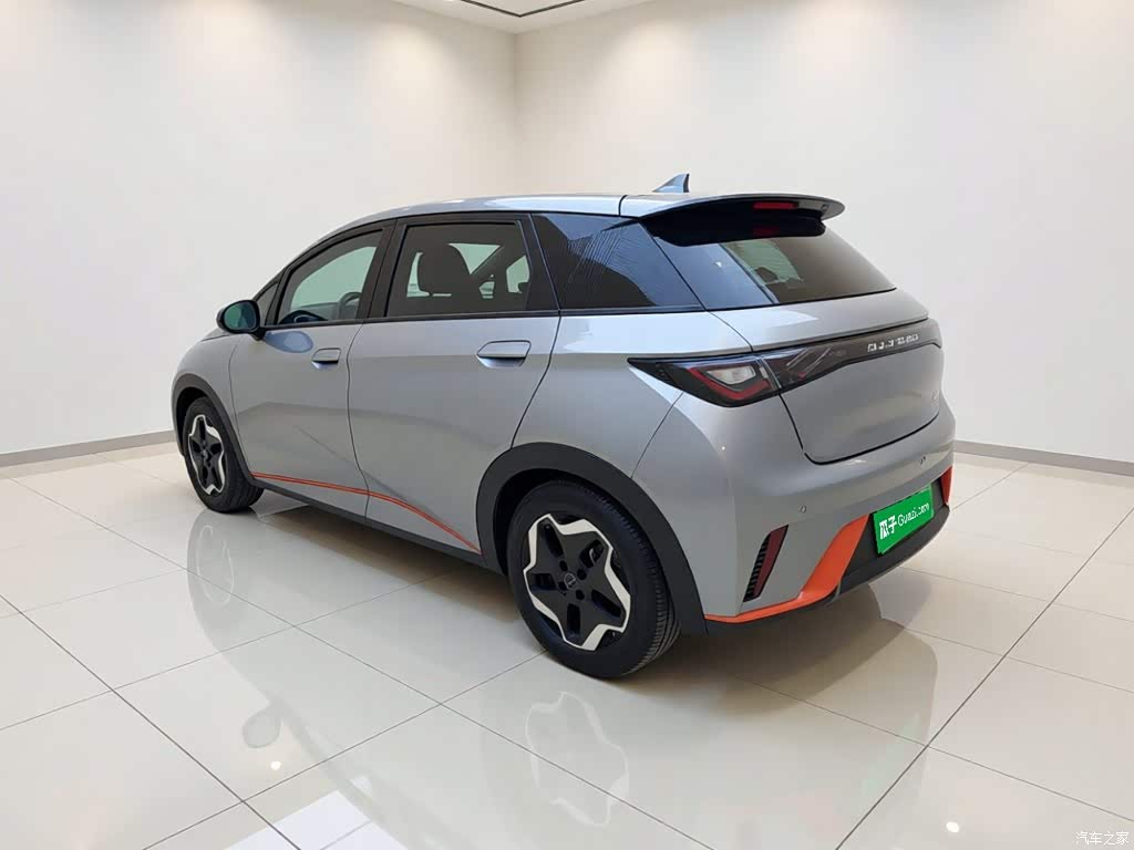 2021 BYD Dolphin Model 405km Fashion Edition, фото 4, лот 11208364