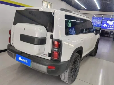 2024 Haval Meng Long NEV Hi4 102 Pro, фото 3, лот 11203553