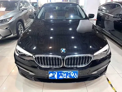 2018 BMW 5 Series 528Li Launch Special Edition, фото 2, лот 11201619