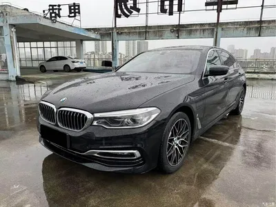2019 BMW 5 Series New Energy 530Le Luxury Package, фото 1, лот 11210908