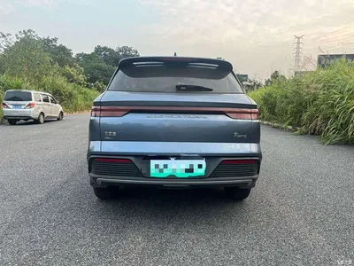2024 BYD Song Pro New Energy Glory Edition DM-i 110KM Surpassing, фото 4, лот 10803741