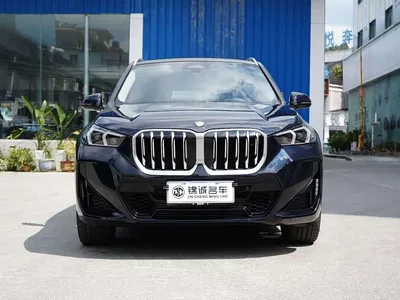 2023 BMW X1 sDrive25Li M Sport Package, фото 2, лот 10393596