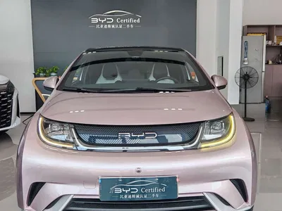 2021 BYD Dolphin Model 405km Fashion Edition, фото 2, лот 10248572