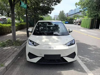 2025 BYD Seagull Smart Drive Edition 305km Vitality Version, фото 3, лот 10262855