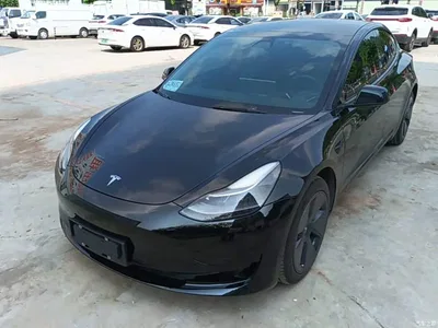 2021 Tesla Model 3 Standard Range Rear-Wheel Drive Upgrade 3D6, фото 2, лот 11089083