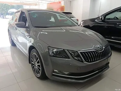 2019 Škoda Octavia TSI230 DSG Zhixing Luxury Edition China VI, фото 4, лот 10451798
