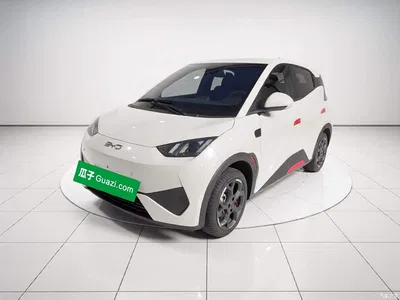 2025 BYD Seagull Smart Drive Edition 305km Freedom Version, фото 1, лот 10440039