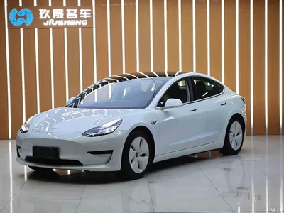 2020 Tesla Model 3 Standard Range Rear-Wheel Drive Upgrade, фото 1, лот 10351661