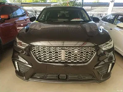 2020 WEY VV5 1.5T 2WD Style Pioneer, фото 3, лот 11017307