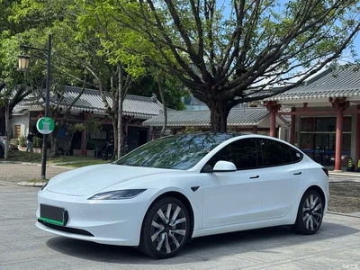 2025 Tesla Model 3 Model Rear-Wheel Drive Edition, фото 1, лот 10351645