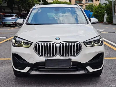 2020 BMW X1 sDrive20Li Premium Edition, фото 2, лот 10426959