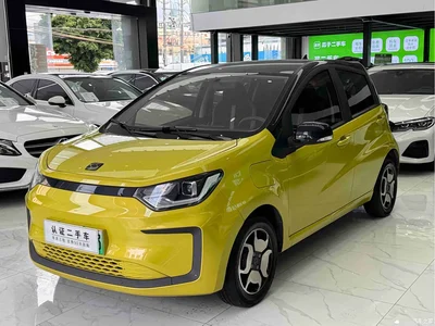 2021 Sehol Flower Fairy 302km Luxury Edition 31.4kWh, фото 1, лот 11153516
