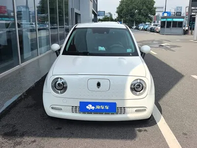 2021 Ora Black Cat 405km Long Range Model, фото 3, лот 10399156