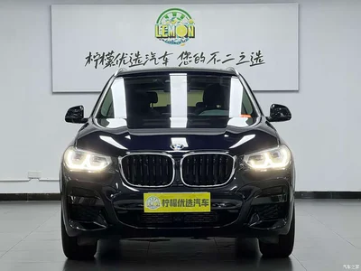 2021 BMW X3 xDrive25i M Sport Package, фото 3, лот 10888685