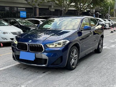 2021 BMW X2 sDrive25i Leading M Sport Package, фото 2, лот 11549768