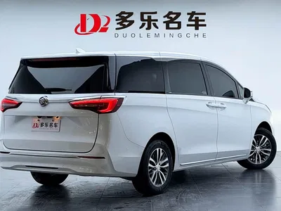 2023 Buick GL8 ES Landmaster Exclusive, фото 4, лот 10253479
