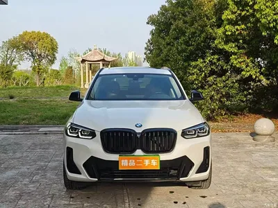 2022 BMW X3 Facelift xDrive30i Leading M Shadow Edition, фото 2, лот 11210383