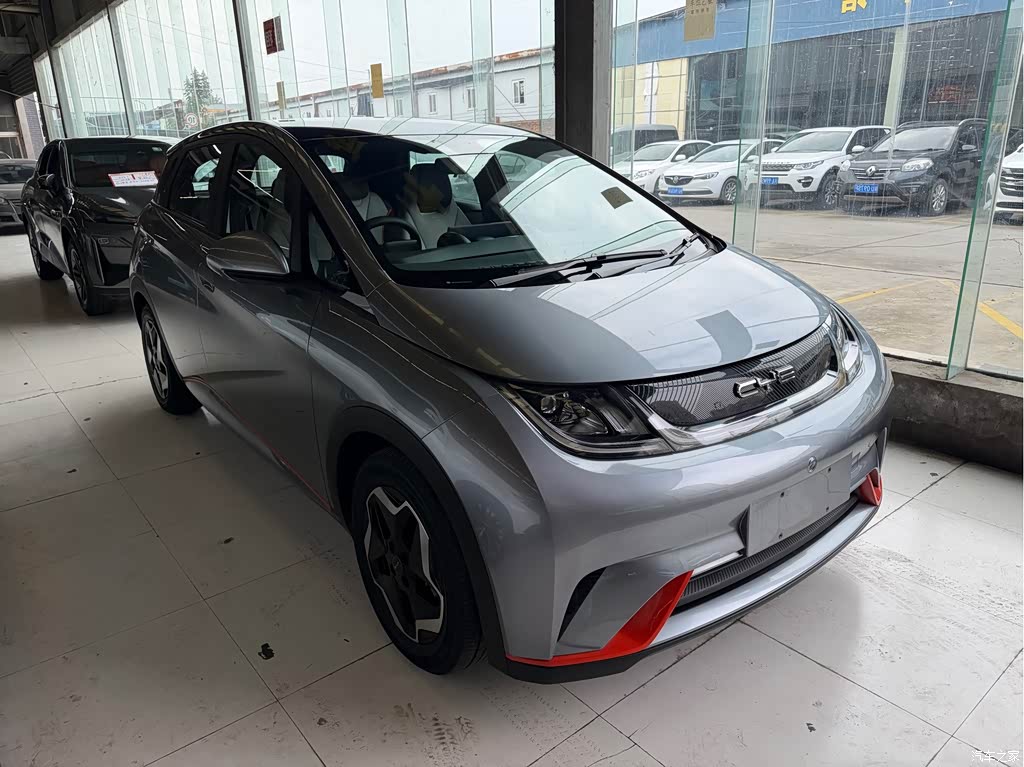 2021 BYD Dolphin Model 405km Fashion Edition, фото 3, лот 11216635