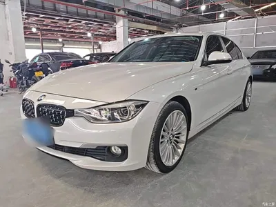 2018 BMW 3 Series 320Li Fashion Style, фото 2, лот 10457428