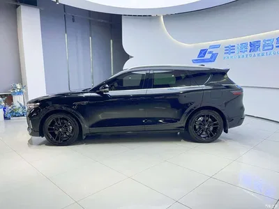 2024 Voyah Auto VOYAH FREE Ultra Long Range Intelligent Driving Edition, фото 3, лот 11199963