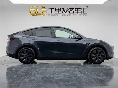 2024 Tesla Model Y Rear-Wheel Drive Version, фото 4, лот 10450438