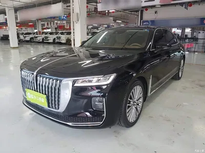 2023 Hongqi H9 Model 2.0T Smart Connect Flagship Edition, фото 2, лот 11132770