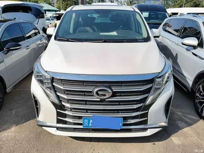 2021 GAC Trumpchi Trumpchi M8 Leading Show Series 390T Luxury Edition, фото 2, лот 10398386