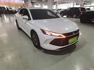 2024 BYD Qin L DM-i 80KM Leading Edition, фото 4, лот 10441054