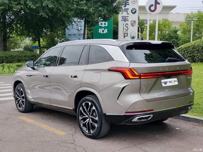 2023 Roewe RX9 2.0T 2WD Premium Edition, фото 4, лот 10900532