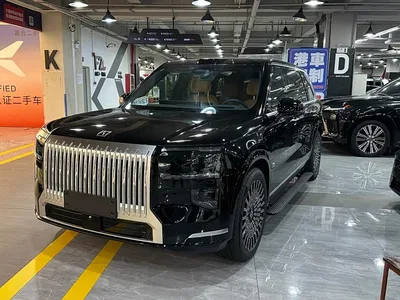 2025 ZEEKR 9X Max Edition, фото 1, лот 10291800