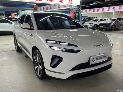 2025 BYD Sealion 06 New Energy DM-i 170 Pilot Plus Edition, фото 3, лот 11006875