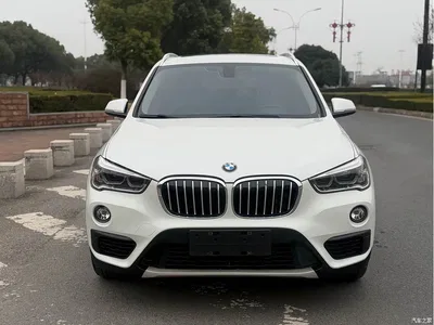 2019 BMW X1 sDrive20Li Leading Model, фото 1, лот 10465863