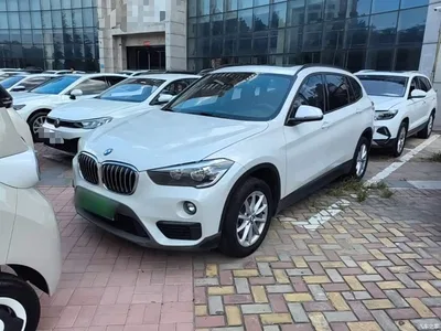 2019 BMW X1 sDrive18Li Fashion Model, фото 1, лот 10467277