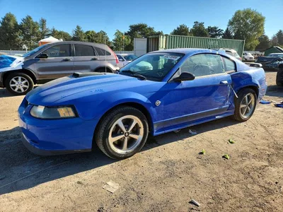 2004 FORD MUSTANG MACH I, фото 1, лот 10979639