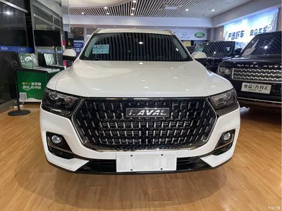 2023 Haval H6 National Trend Edition 1.5T Automatic Champion, фото 3, лот 10299704