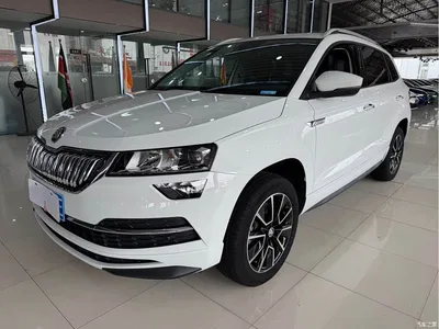 2023 Škoda Karoq TSI280 Premium Edition, фото 1, лот 10348544