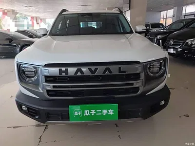 2024 Haval Big Dog 1.5T DCT Border Collie Edition, фото 3, лот 11564720